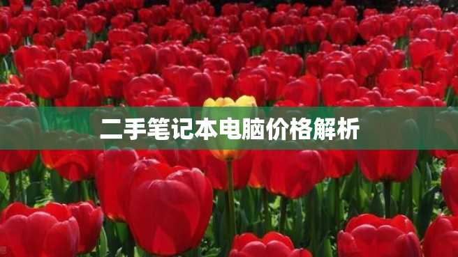 二手笔记本电脑价格解析 二手笔记本电脑价格解析