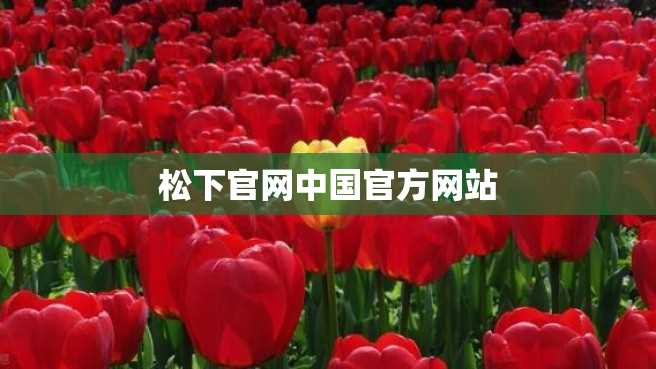 松下官网中国官方网站 松下官网中国官方网站