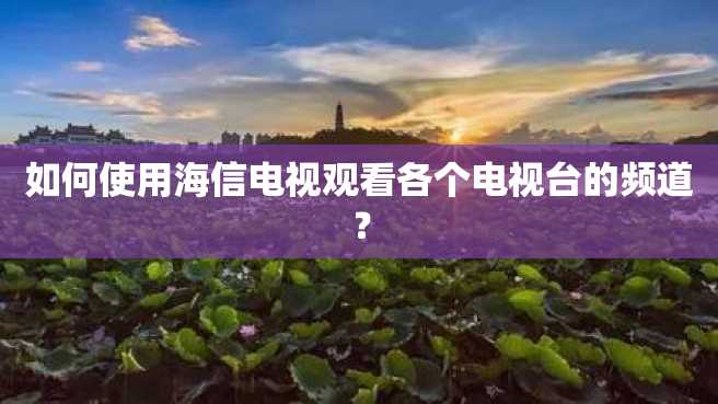 如何使用海信电视观看各个电视台的频道? 如何使用海信电视观看各个电视台的频道?