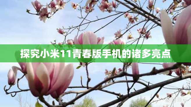 探究小米11青春版手机的诸多亮点 探究小米11青春版手机的诸多亮点
