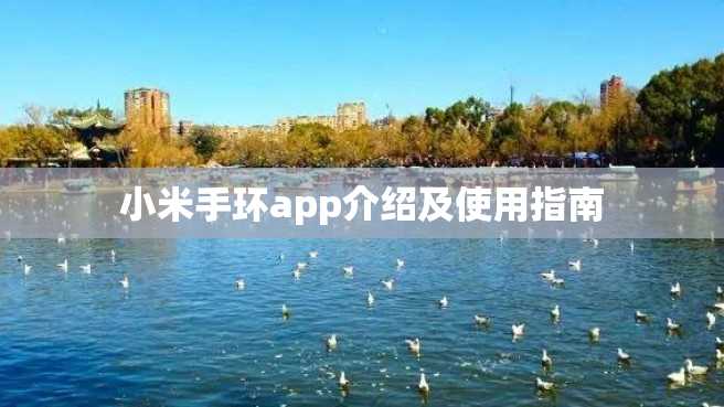 小米手环app介绍及使用指南 小米手环app介绍及使用指南