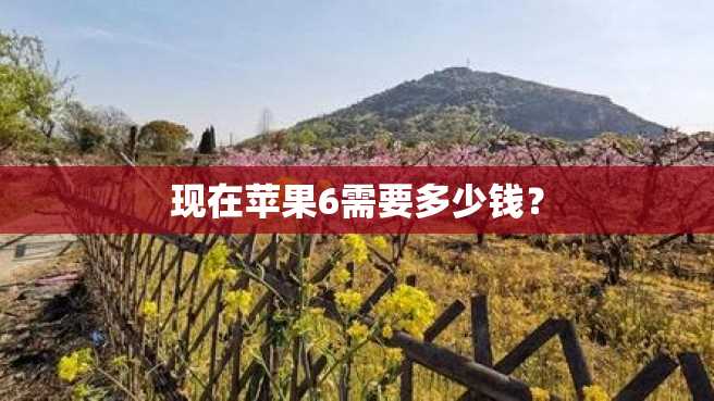 现在苹果6需要多少钱? 现在苹果6需要多少钱?