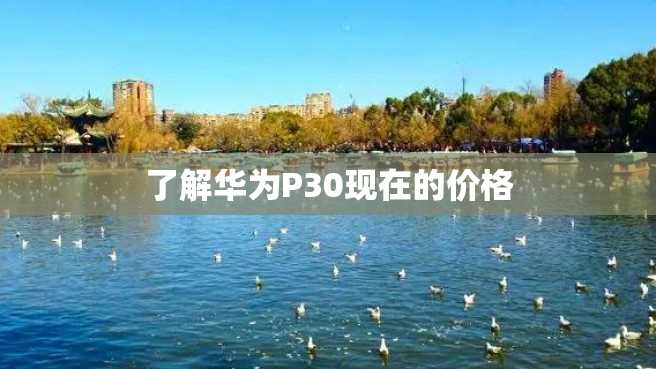 了解华为P30现在的价格 了解华为P30现在的价格