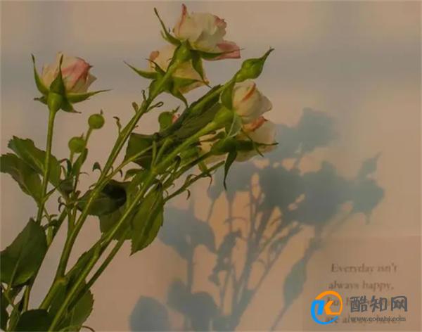 情人之间 满足了这两个条件 就是遇到了“灵魂伴侣”