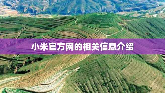 小米官方网的相关信息介绍 小米官方网的相关信息介绍