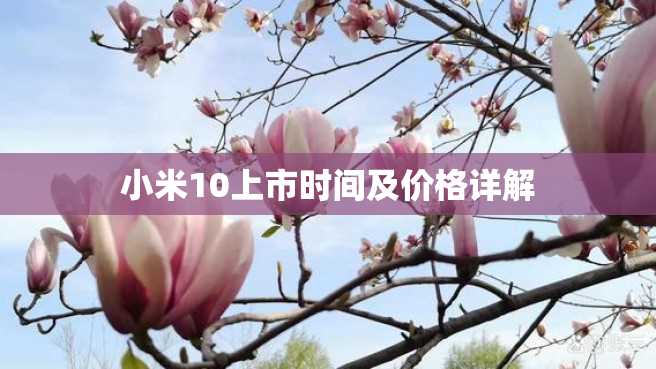 小米10上市时间及价格详解 小米10上市时间及价格详解