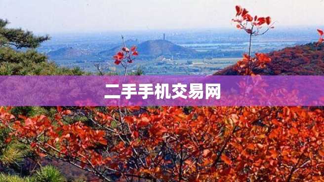 二手手机交易网 二手手机交易网