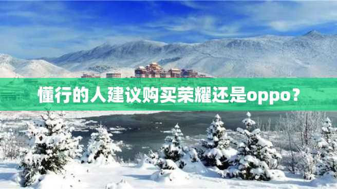 懂行的人建议购买荣耀还是oppo? 懂行的人建议购买荣耀还是oppo?