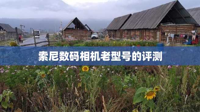 索尼数码相机老型号的评测 索尼数码相机老型号的评测