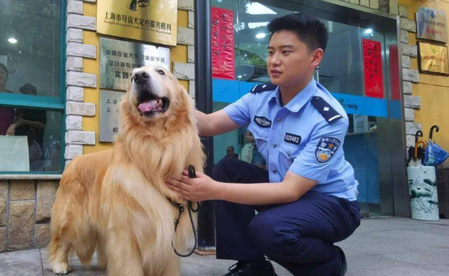 为何宠物协会人士建议养犬前先考试