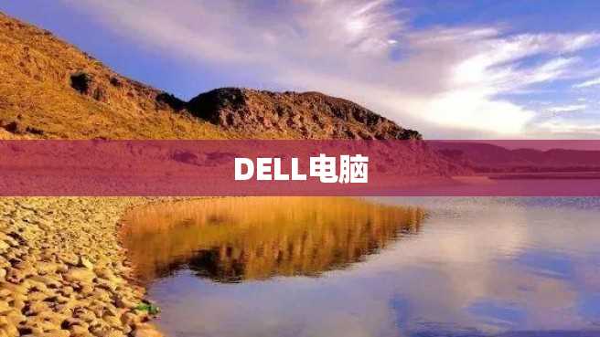 DELL电脑 DELL电脑