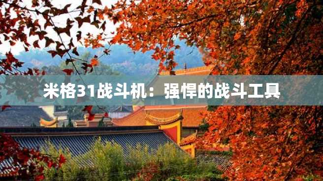 米格31战斗机:强悍的战斗工具 米格31战斗机:强悍的战斗工具