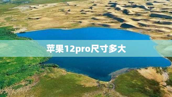苹果12pro尺寸多大 苹果12pro尺寸多大