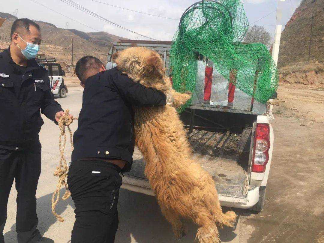 杨迪 可以不喜爱但请别伤害？