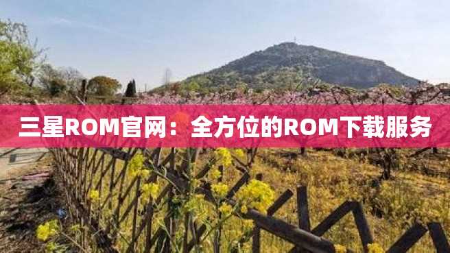 三星ROM官网:全方位的ROM下载服务 三星ROM官网:全方位的ROM下载服务