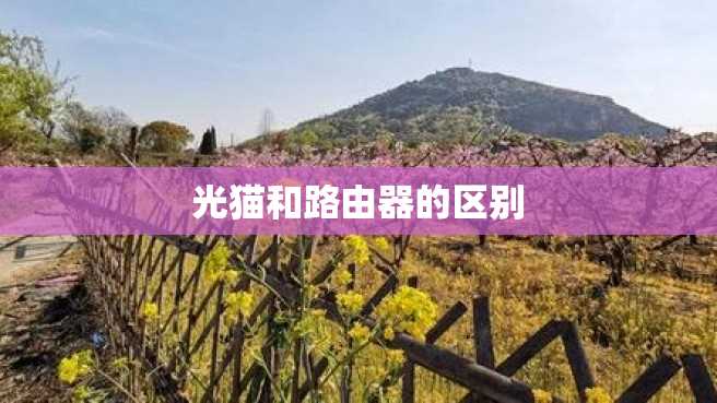 光猫和路由器的区别 光猫和路由器的区别
