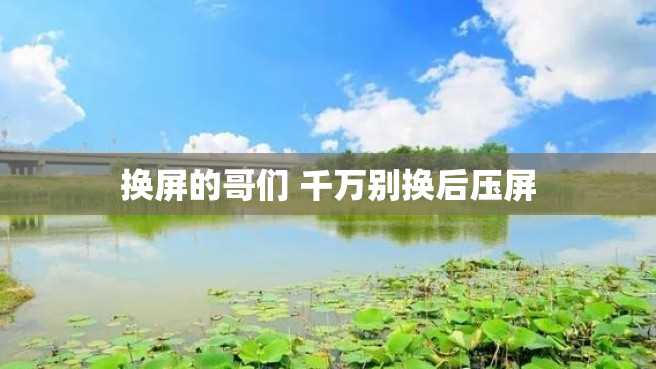 换屏的哥们 千万别换后压屏 换屏的哥们 千万别换后压屏