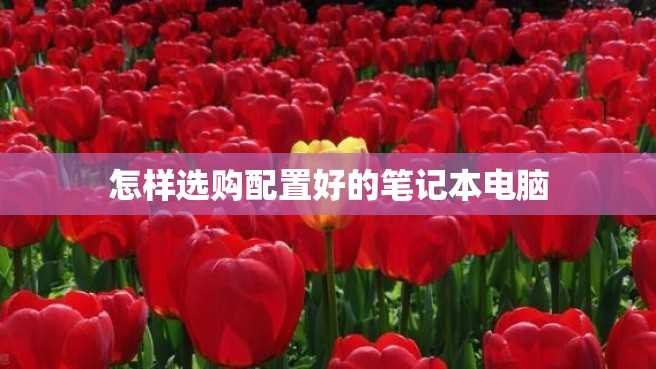 怎样选购配置好的笔记本电脑 怎样选购配置好的笔记本电脑