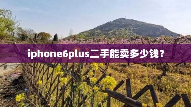 iphone6plus二手能卖多少钱? iphone6plus二手能卖多少钱?