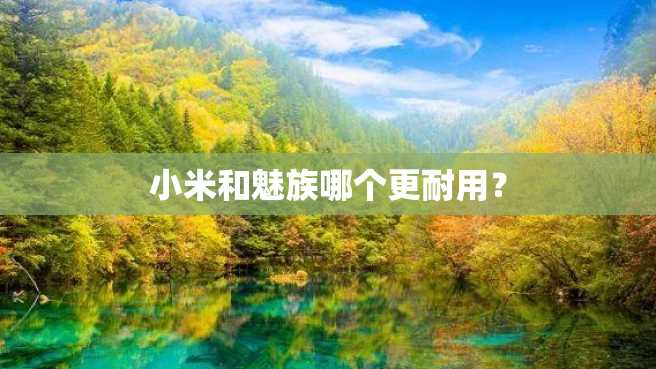 小米和魅族哪个更耐用? 小米和魅族哪个更耐用?