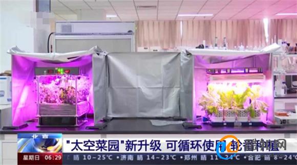 生菜、小葱、樱桃番茄长势喜人 “太空菜园”新升级_酷知科普