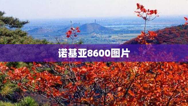 诺基亚8600图片 诺基亚8600图片