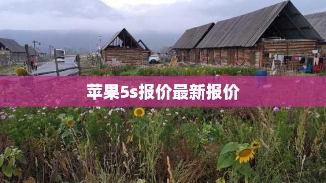 苹果5s报价最新报价 苹果5s报价最新报价