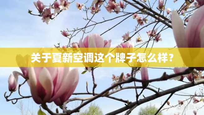 关于夏新空调这个牌子怎么样? 关于夏新空调这个牌子怎么样?
