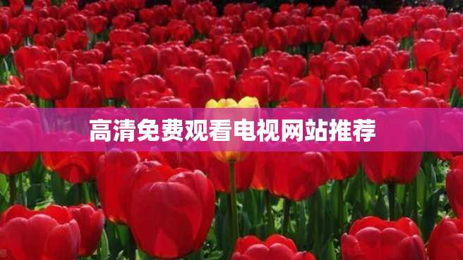 高清免费观看电视网站推荐 高清免费观看电视网站推荐