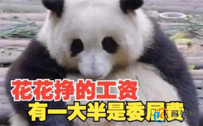花花挣的工资有一大半是委屈费 都不想上班了_酷知科普