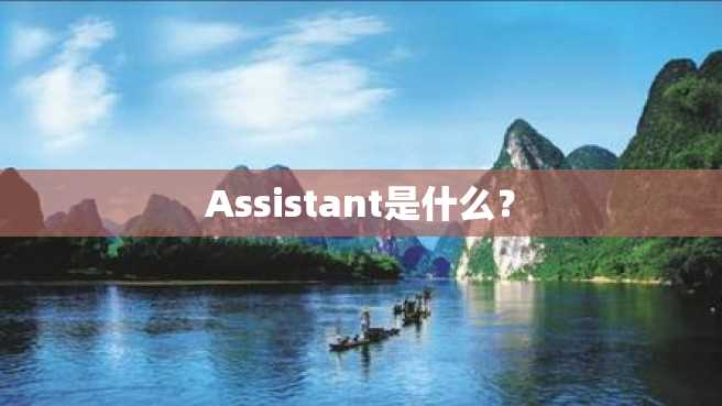 Assistant是什么? Assistant是什么?