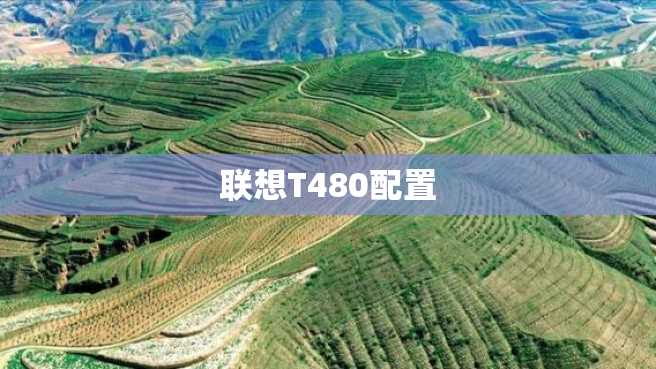 联想T480配置