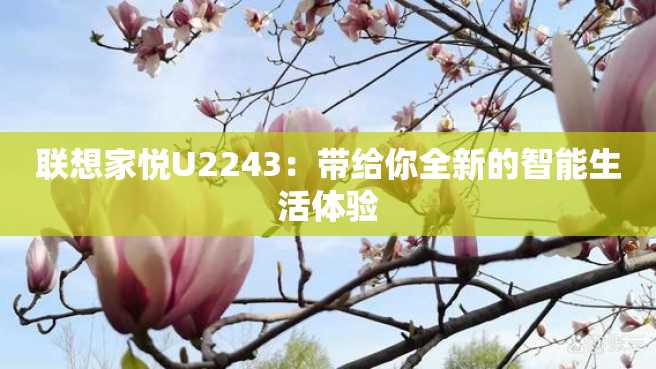 联想家悦U2243:带给你全新的智能生活体验 联想家悦U2243:带给你全新的智能生活体验