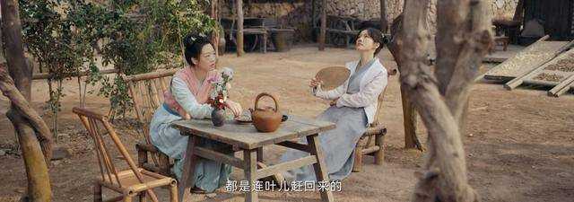 《田耕纪》连花儿为何这么恶毒?一计不成又生一计,连家的祸害