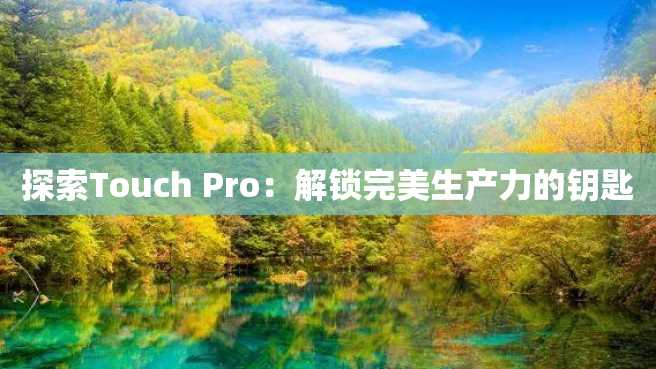 探索Touch Pro:解锁完美生产力的钥匙 探索Touch Pro:解锁完美生产力的钥匙