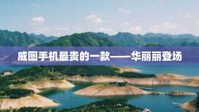 威图手机最贵的一款——华丽丽登场 威图手机最贵的一款——华丽丽登场