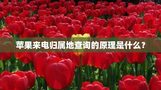 苹果来电归属地查询的原理是什么? 苹果来电归属地查询的原理是什么?