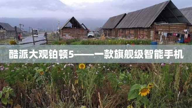 酷派大观铂顿5——一款旗舰级智能手机 酷派大观铂顿5——一款旗舰级智能手机