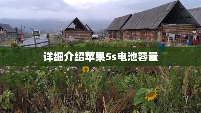 详细介绍苹果5s电池容量