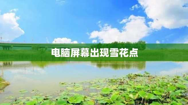 电脑屏幕出现雪花点 电脑屏幕出现雪花点