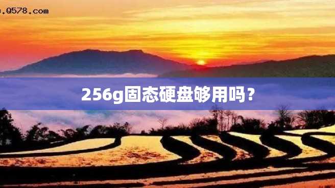 256g固态硬盘够用吗? 256g固态硬盘够用吗?