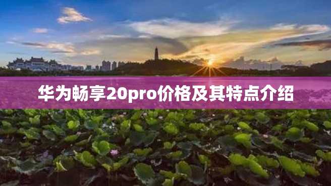 华为畅享20pro价格及其特点介绍 华为畅享20pro价格及其特点介绍