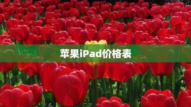 苹果iPad价格表 苹果iPad价格表