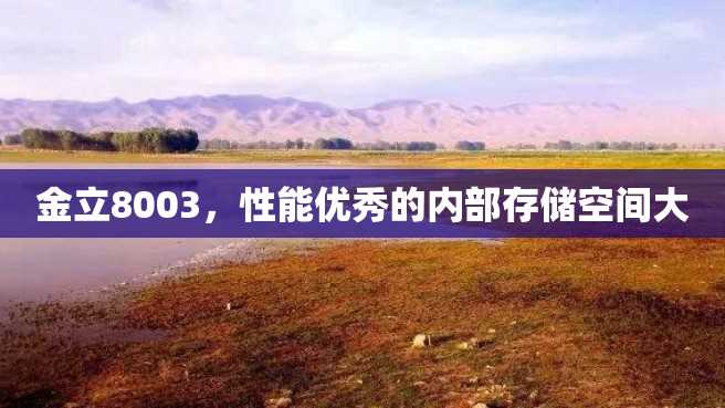 金立8003,性能优秀的内部存储空间大 金立8003,性能优秀的内部存储空间大