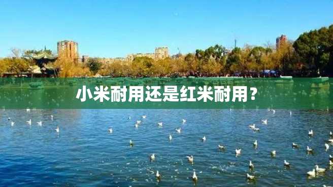 小米耐用还是红米耐用? 小米耐用还是红米耐用?