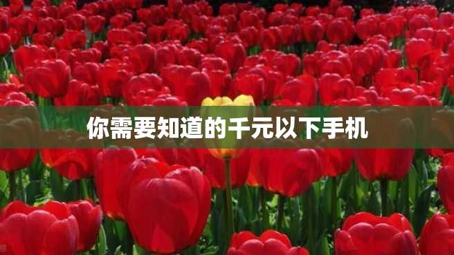 你需要知道的千元以下手机 你需要知道的千元以下手机