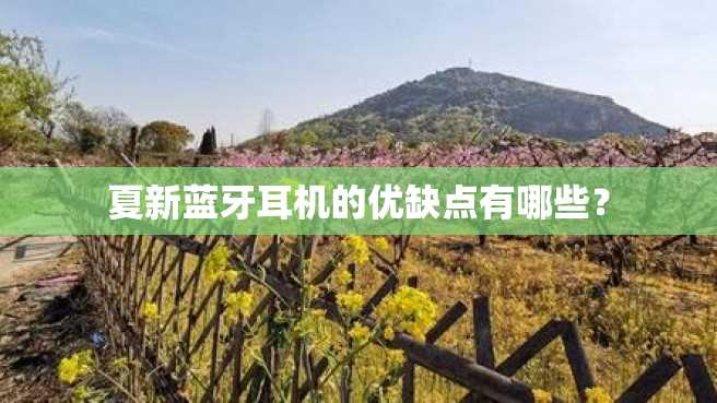 夏新蓝牙耳机的优缺点有哪些? 夏新蓝牙耳机的优缺点有哪些?