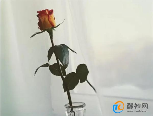 男人对你“摇摆不定”的时候 记住这两点 他会舍不得离开你