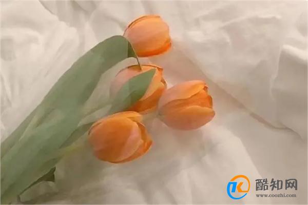 女人越是如此“清醒”越能遇到一个真心爱她的人