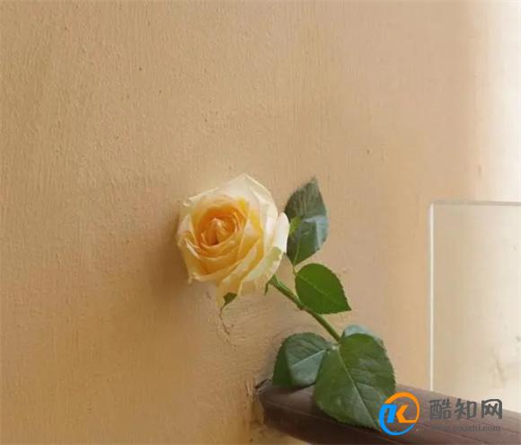 再爱一个男人,也不要做这两件事,他不仅不会珍惜你,还会厌倦你